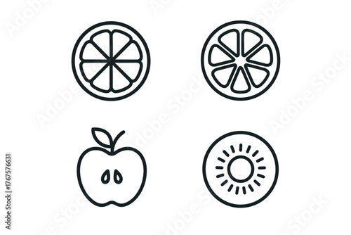 4 outline fruit slices symbolizing natural extracts flat vector illustration style isolated on white background