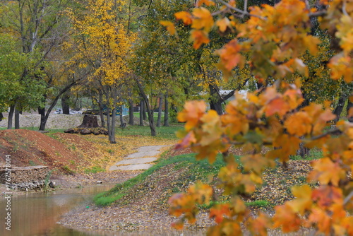 Beautiful autumn park filled with golden-yellow trees, cozy benches, and winding walking paths. Fallen leaves cover the ground, creating a peaceful and romantic atmosphere perfect for relaxation