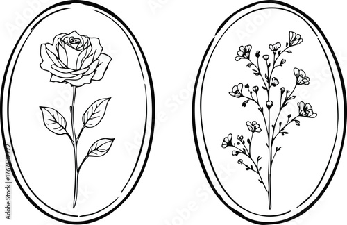 Vintage botanical rose and baby breath oval illustrations set detailed floral engravings for design