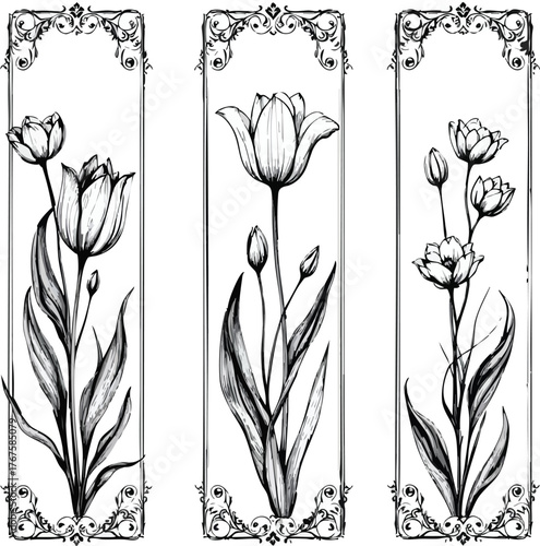 Triptych tulip botanical panels ornate borders detailed black and white sketch set