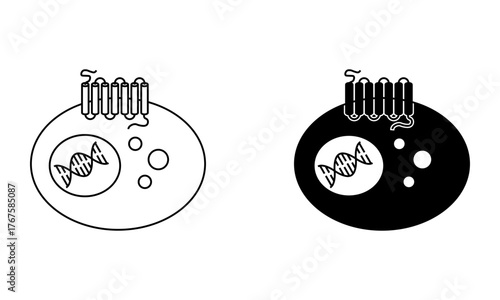 Cellular receptor, GPCR on a membrane of a cell with DNA in its nucleus icon vector