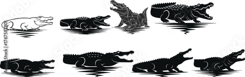 Crocodile silhouette set, black vector illustration, reptile poses, water ripple effect, wildlife design, nature animal graphic, predator symbol, swamp art
