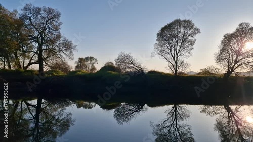 Calm sunny summer day by the river beautiful nature reflection of trees in water