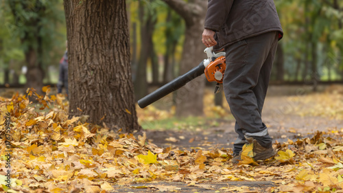 A street cleaner blows autumn leaves off the sidewalk with a leaf blower while standing against a soft blur background of park nature.