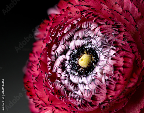 buttlercup macro
