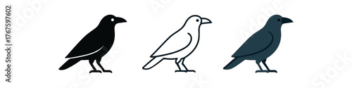 raven dark bird icon on white background Black silhouette flat icon outline icon and colored icon style. three minimal vector icon style