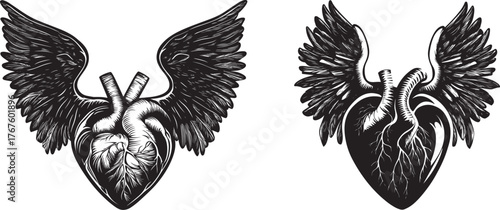 Black Silhouette of Anatomical Heart With Angel Wings Set Vector
