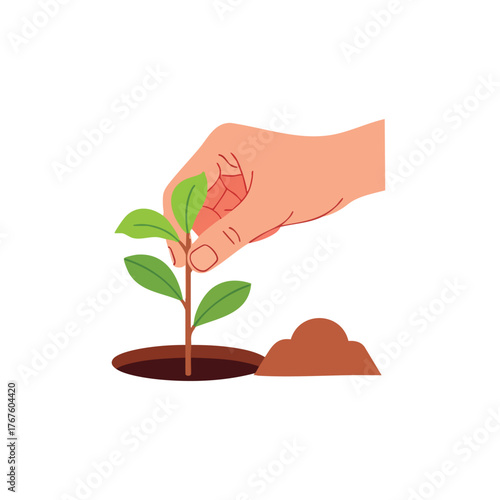 A hand plants a seedling in the soil.