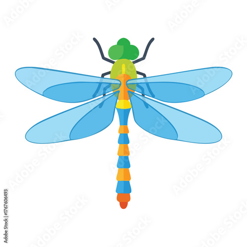 A colorful flat of a dragonfly with blue wings.