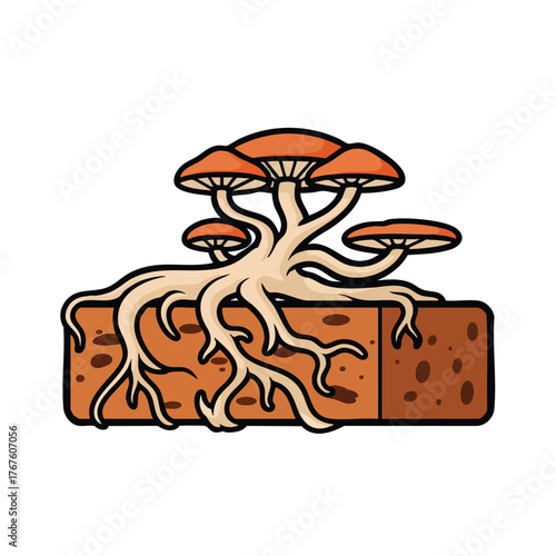 Cartoon of mushrooms with roots growing in soil.
