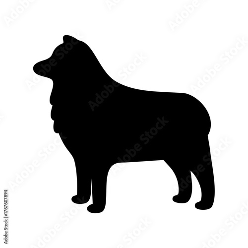 Silhouette of a Finnish Lapphund breed dog standing in profile view