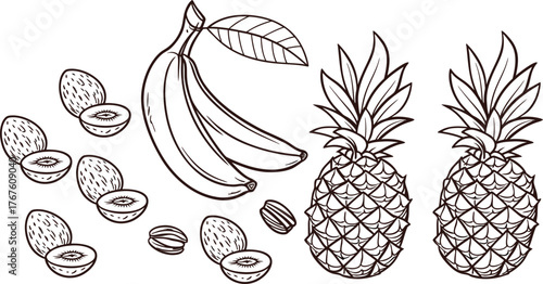 Hand-drawn tropical fruits illustration with pineapples, bananas, and . Vintage botanical sketch for packaging, design, or decoration. Detailed organic fruit line art style.