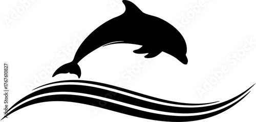 silhouette of a dolphin
