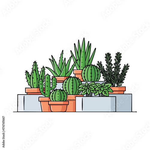 A collection of potted cacti and succulents.