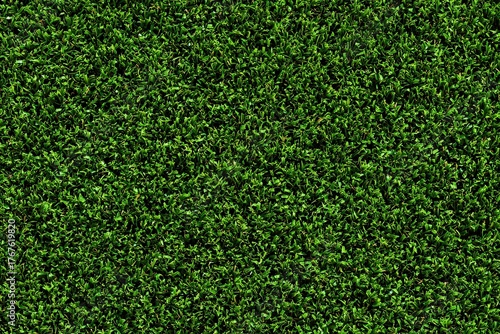 Lush Green Hedge Texture Background Showing Dense Foliage Pattern with Vibrant Color and Natural Leaf Detail for Landscaping or Garden Design High Angle View