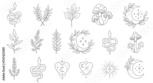 Line art mystical elements collection featuring snakes, celestial bodies, and botanical designs