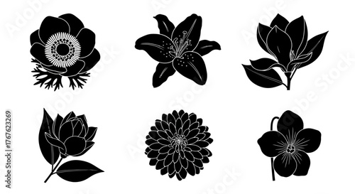 Set of six black and white floral illustrations, including anemone, lily, magnolia, lotus, dahlia, and orchid