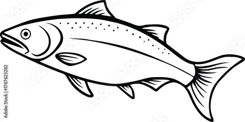 salmon outline vector for fishing and wildlife design