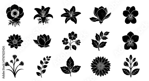 Collection of Floral Silhouettes, Botanical Illustrations, and Decorative Flower Emblems