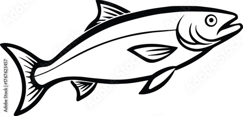salmon outline vector for fishing and wildlife design