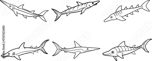 Set of sawfish outline vector for marine life and educational design