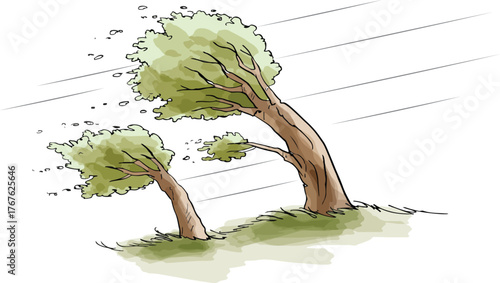 Strong winds and bending trees.