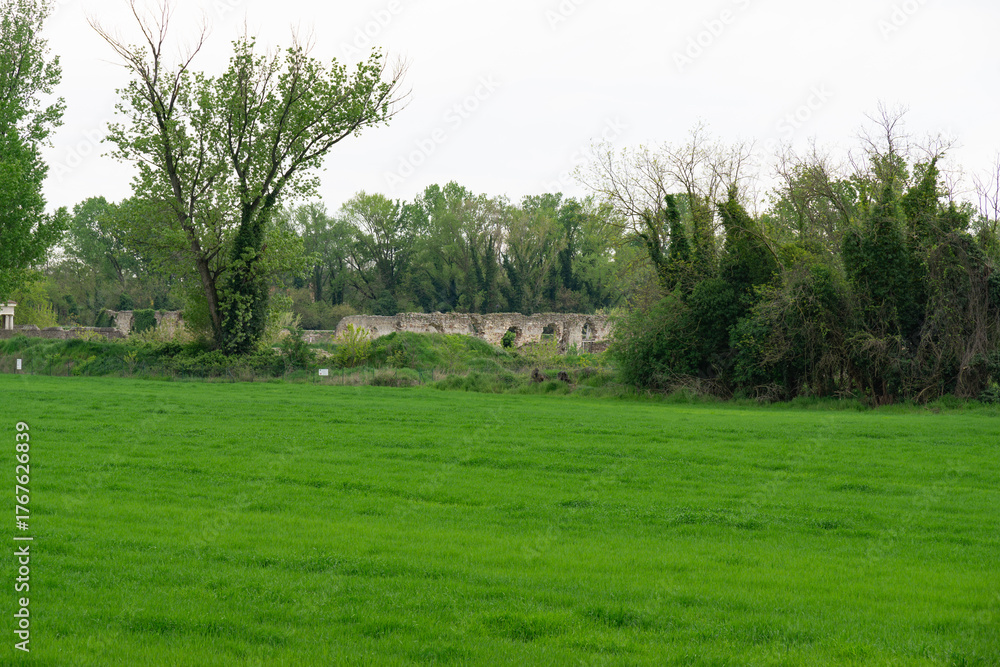 Fototapeta premium rural landscape with a house