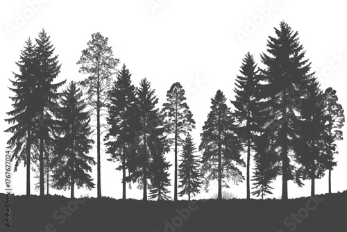 Explore Pine Forest Silhouette Scene Art Nature Decor Design Print Illustration