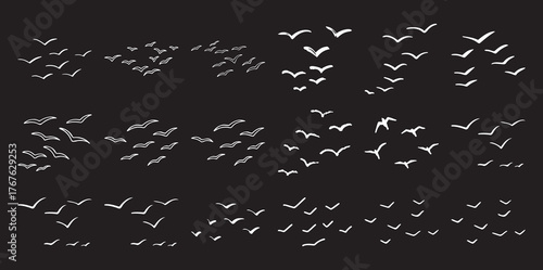 Flock of white birds in flight against a black background, hand-drawn style