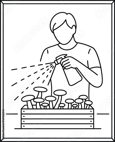 Line art illustration of a person spraying mushrooms in a wooden crate fungi watering