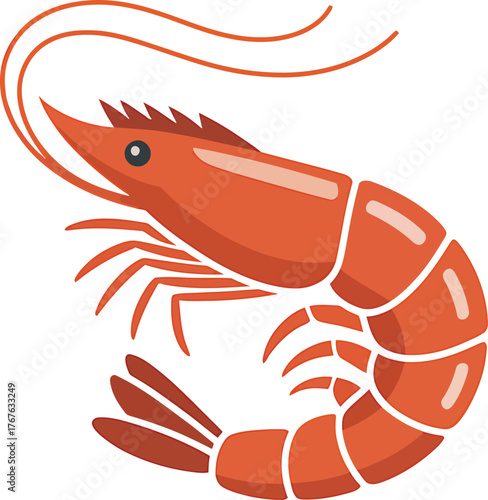 Bright Orange Shrimp Seafood Vector Illustration Fresh Ocean Delicacy Cooking