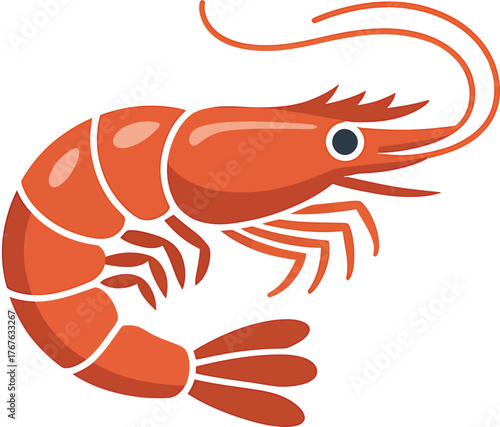 Vibrant Orange Shrimp Vector Fresh Seafood Culinary Ingredient Illustration