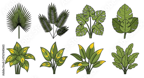 Botanical assortment of lush tropical foliage for artistic and naturalistic design projects