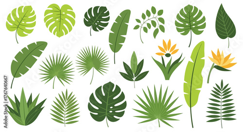 Tropical foliage and flowers collection illustration on white background featuring vibrant