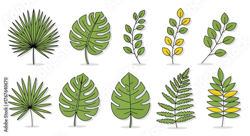 Botanical illustration featuring a variety of drawn tropical leaves in green and yellow colors set