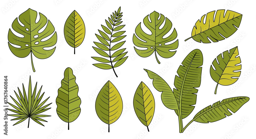 Fototapeta premium Botanical assortment of tropical green leaves in a simple hand drawn style illustration vector