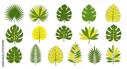 Tropical Foliage Collection: Diverse Selection of Exotic Leaves in Green and Yellow shades