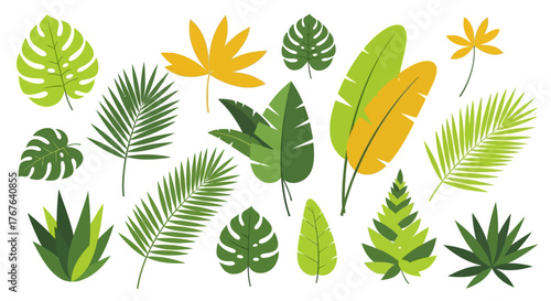 Vibrant tropical leaves illustration displaying a lush assortment of botanical elements