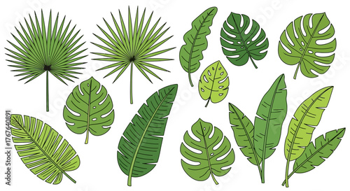 Exotic greenery: a collection of tropical leaves in a decorative botanical arrangement on white