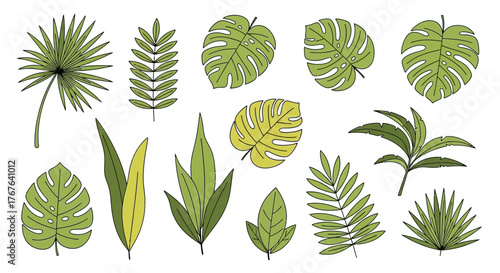 Exotic botanical leaf assortment with hand drawn illustration for tropical design inspiration