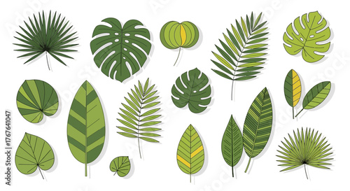Exotic botanical illustration featuring a variety of tropical leaves providing a vibrant display