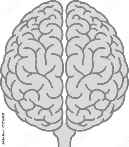 Simple Line Drawing of Human Brain Cerebral Hemisphere Anatomy Icon