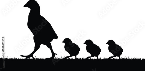 Silhouette of a mother hen leading her chicks across a grassy field under a soft yellow sky gentle farm animal scene