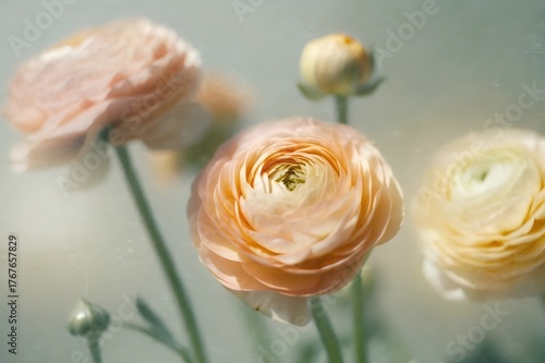 Vibrant Fantasy Turtle with Ornate Shell Walking on a Flowery Path at Sunset