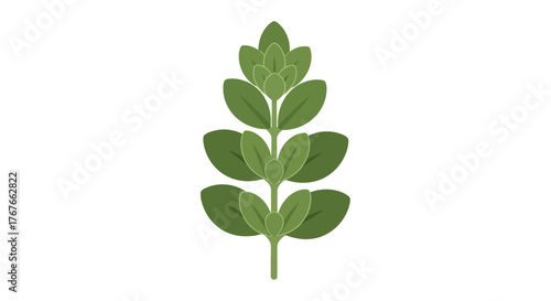 Stylized illustration of an oregano sprig with simple geometric leaf shapes in shades of green