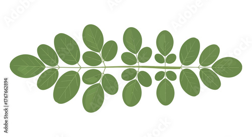 Green symmetry: A stylized plant branch illustration showcasing botanical harmony and symmetry