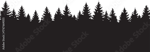 Stunning silhouette of dense evergreen forest skyline creating a timeless natural backdrop for your designs