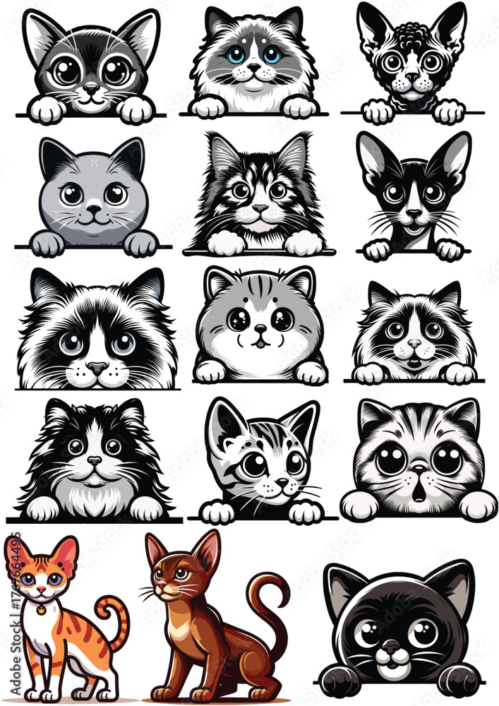 Fototapeta premium cat vector