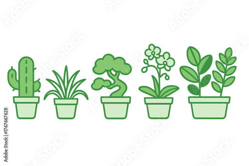 Various green potted houseplants including cactus, bonsai, and orchid for indoor decoration