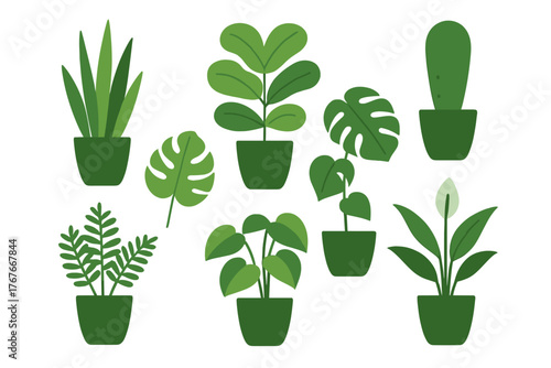 Set of different green potted indoor plants including cactus, monstera, and peace lily